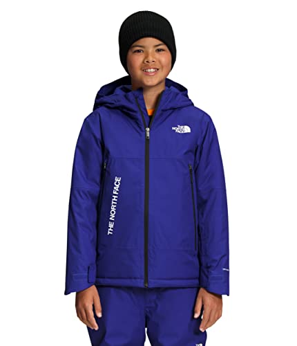 THE NORTH FACE Freedom Insulated Jacket (Toddler)