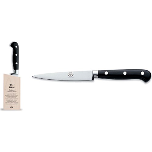 Coltellerie Berti Insieme Straight Paring Knife w/Magnetized Wood Block | Black Lucite Handle
