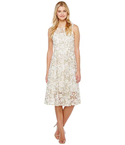Adrianna Papell Women's 3D Embroidery Fit and Flare