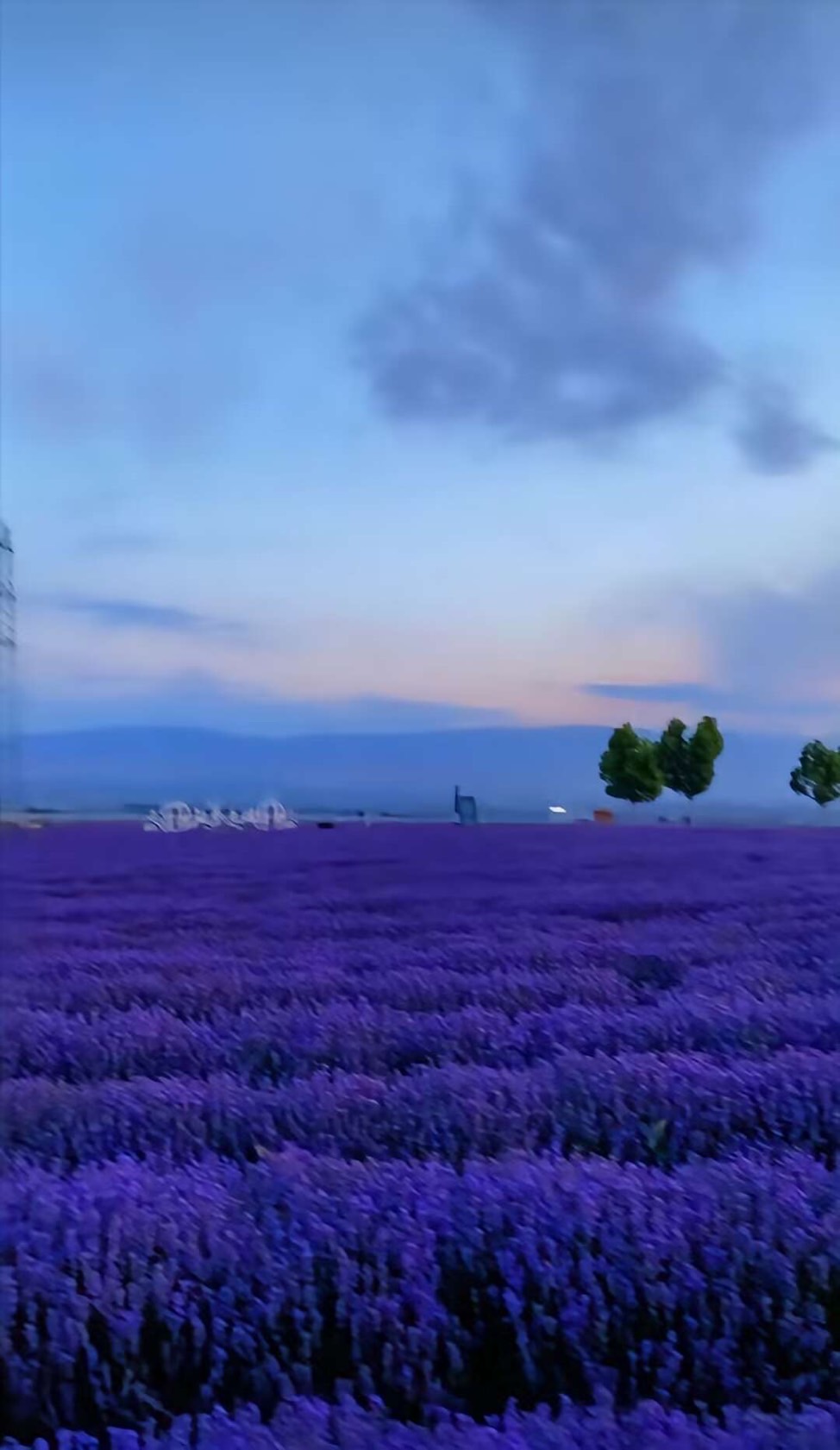 樂樂護膚品旗艦店